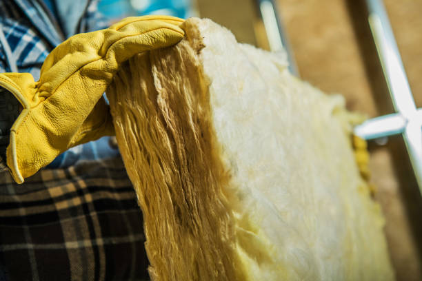 Best Blown-in Insulation  in Prince Frederick, MD